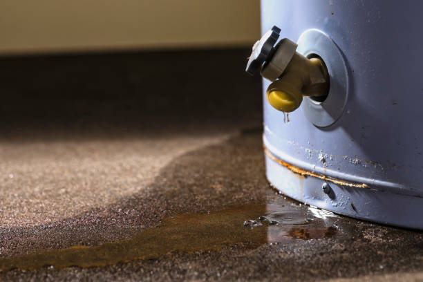 Best Water damage restoration near me  in Burien, WA