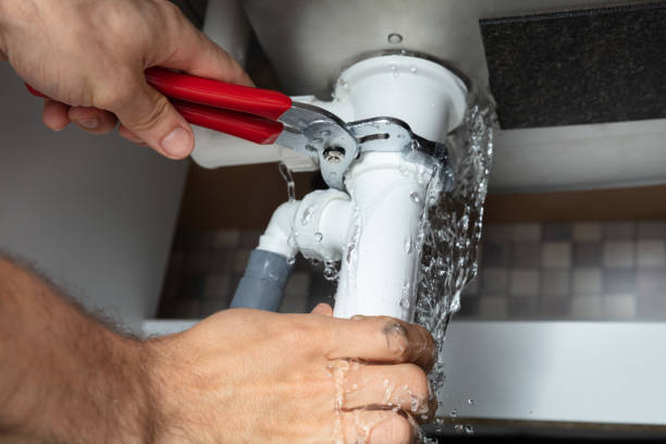 Best Flooded house restoration  in Burien, WA