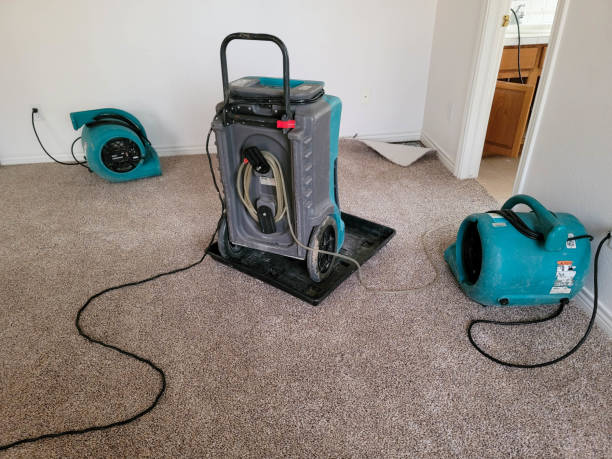 Best Mold removal after water damage  in Burien, WA