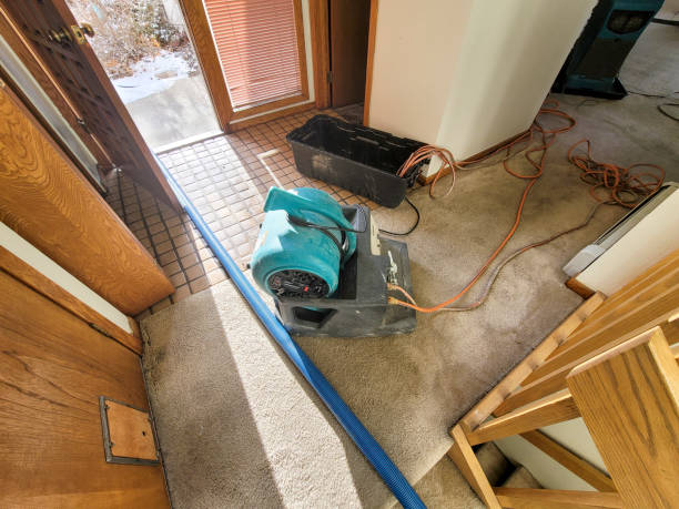 Best Water damage restoration near me  in Burien, WA