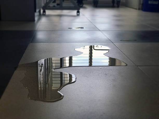 Best Water damage repair service  in Burien, WA
