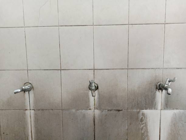 Best Sewage cleanup and water damage restoration  in Burien, WA