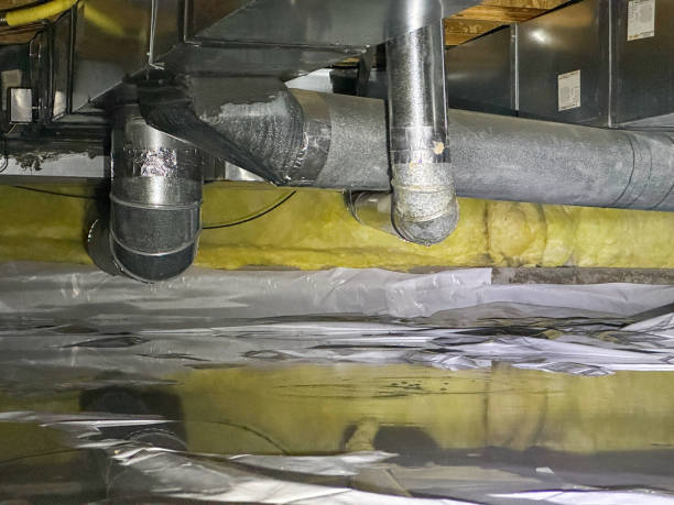 Best Residential water damage restoration  in Burien, WA