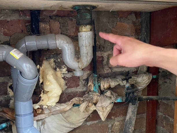 Best Emergency water damage restoration  in Burien, WA