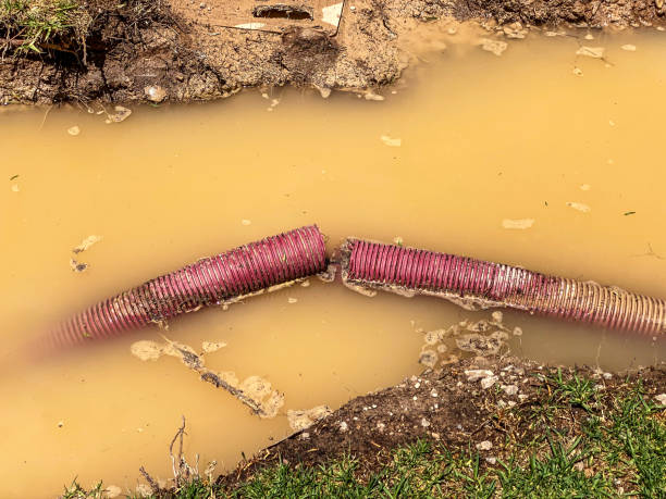 Trusted Burien, WA Water damage restoration Experts