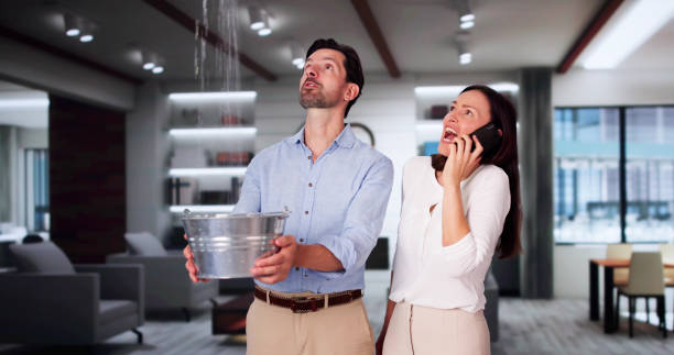 Best Sewage cleanup and water damage restoration  in Burien, WA