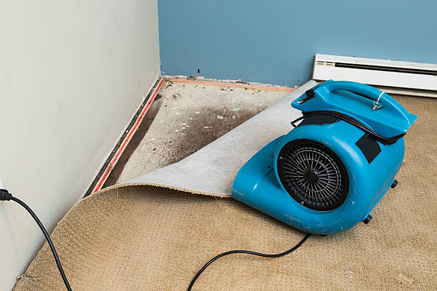 Best Carpet water damage restoration  in Burien, WA
