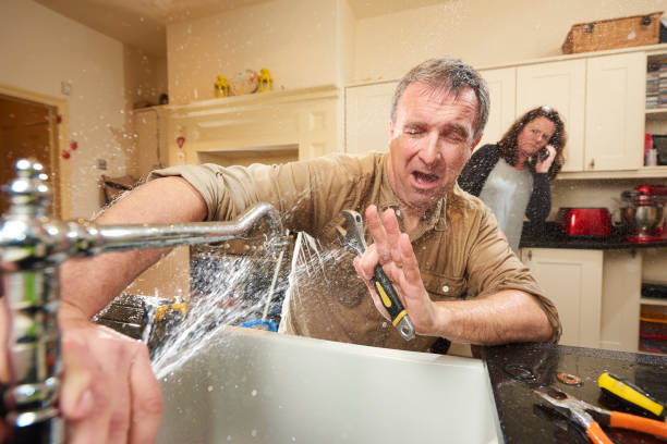 Best Water damage cleanup near me  in Burien, WA